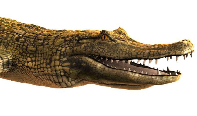 How crocodiles were invented | Tweets of the week