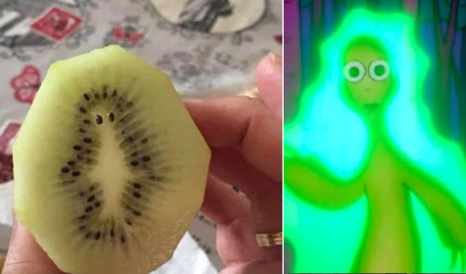 I was Monty's double... | The kiwi fruit that looks like Mr Burns