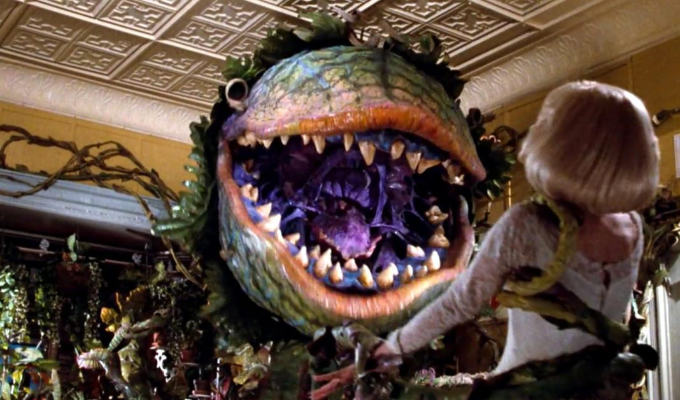 What is the name of the plant in Little Shop Of Horrors? | Try our Tuesday Trivia Quiz, with a Halloween theme
