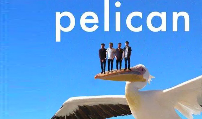 Pelican: A Sketch Show