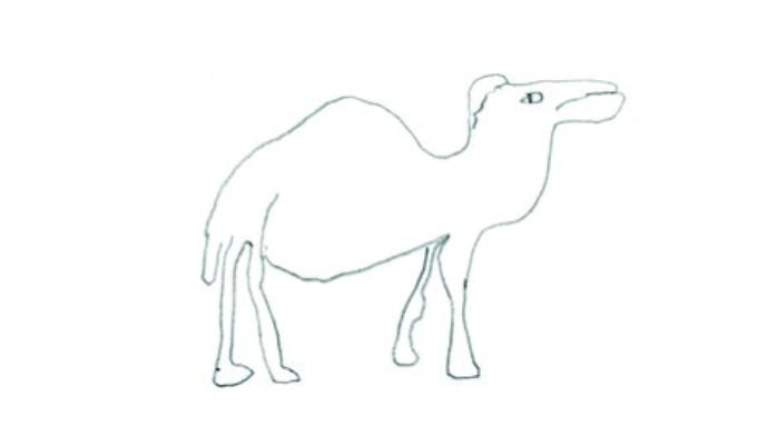  John Hegley's Drawings Of Dromedaries (And Other Creatures)