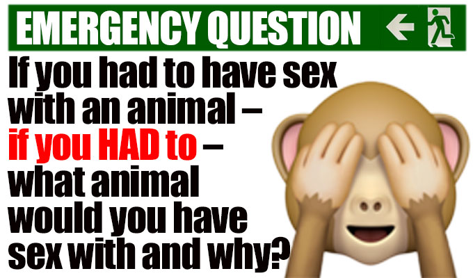 If you had to have sex with an animal - if you HAD to - what animal would  you have sex with and why? : Features 2019 : Chortle : The UK Comedy Guide