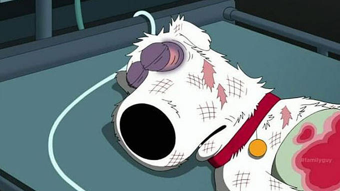 Family Guy kills off Brian | And replaces him with another dog