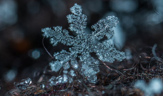 This snowflake walks into a bar... | Tweets of the week