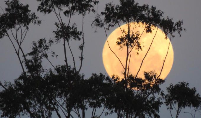 Does this supermoon look familiar? | Tweets of the week