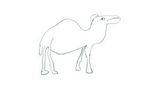 John Hegley's Drawings Of Dromedaries (And Other Creatures)